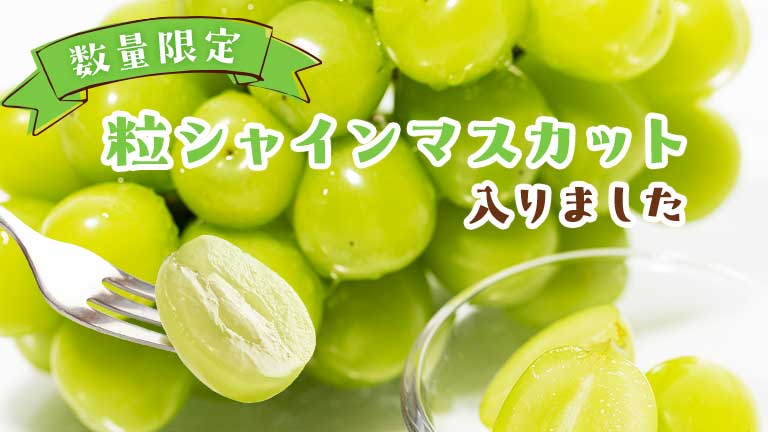 果物バナー