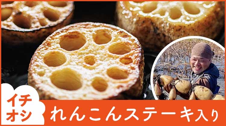 れんこんバナー