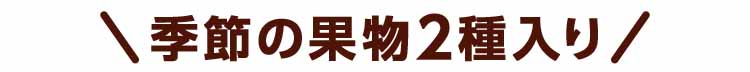 果物2種入り