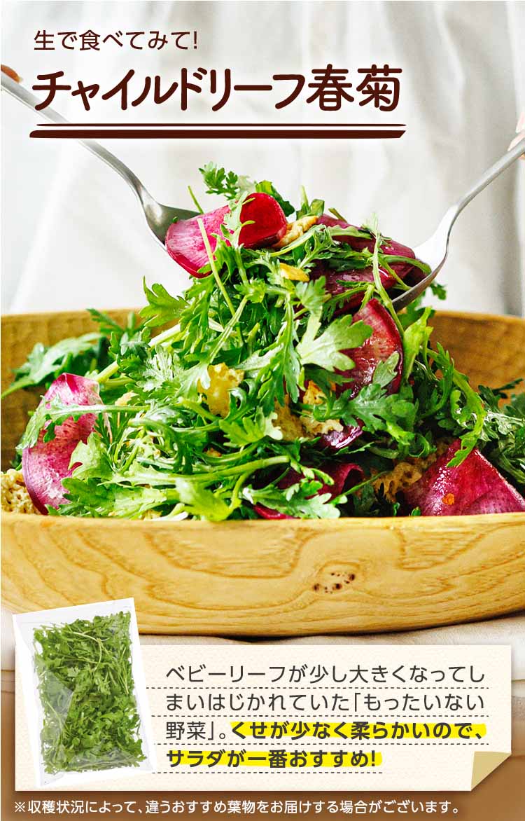 生で食べてみて チャイルドリーフ春菊