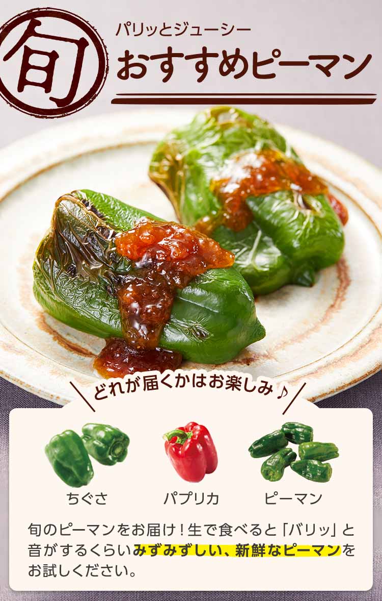 パリッとジューシー おすすめピーマン