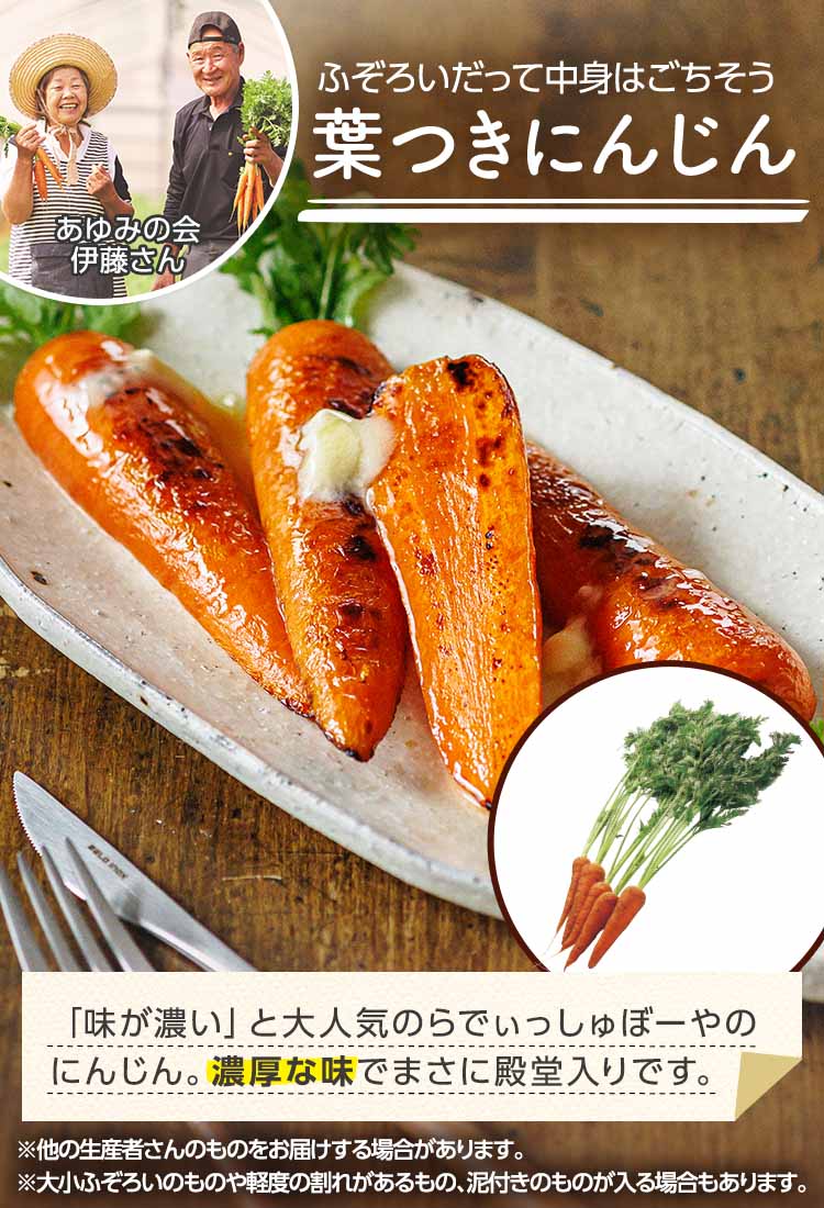 公式】らでぃっしゅぼーや ふぞろい食材おためしセット