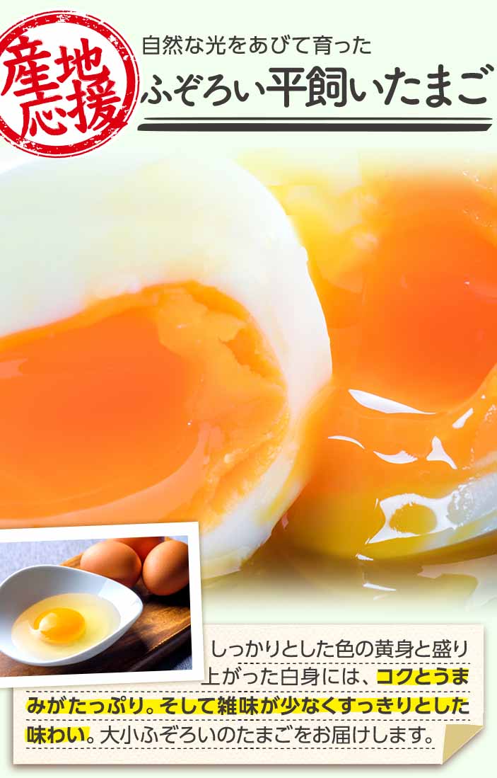 コクのある濃厚な味わい 平飼いたまご
