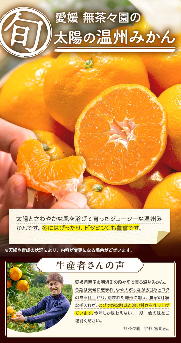 太陽の温州みかん