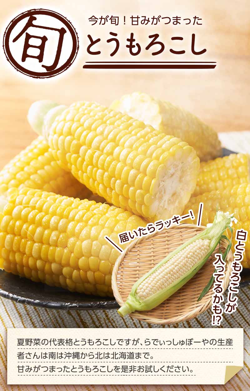 今が旬! ふぞろいとうもろこし