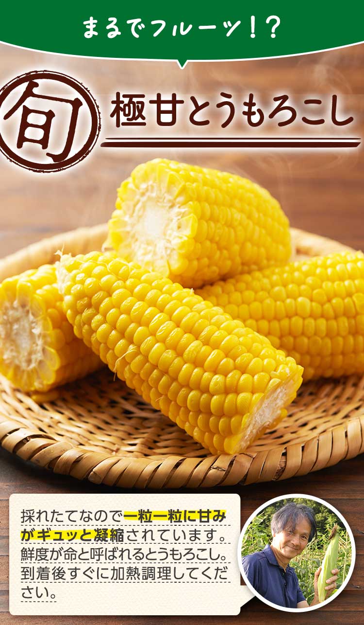 まるでフルーツ!甘みがつまった旬の味 ふぞろいとうもろこし