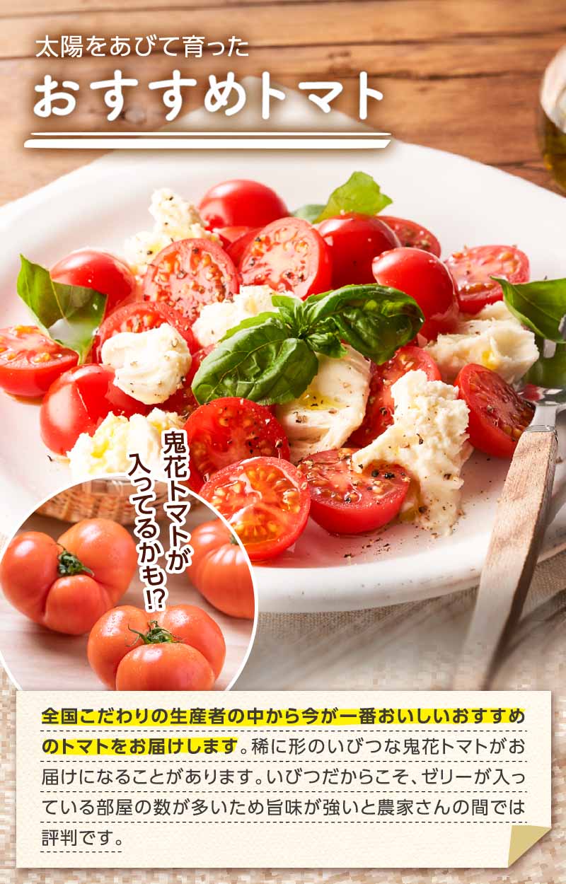 太陽を浴びて育った おすすめトマト