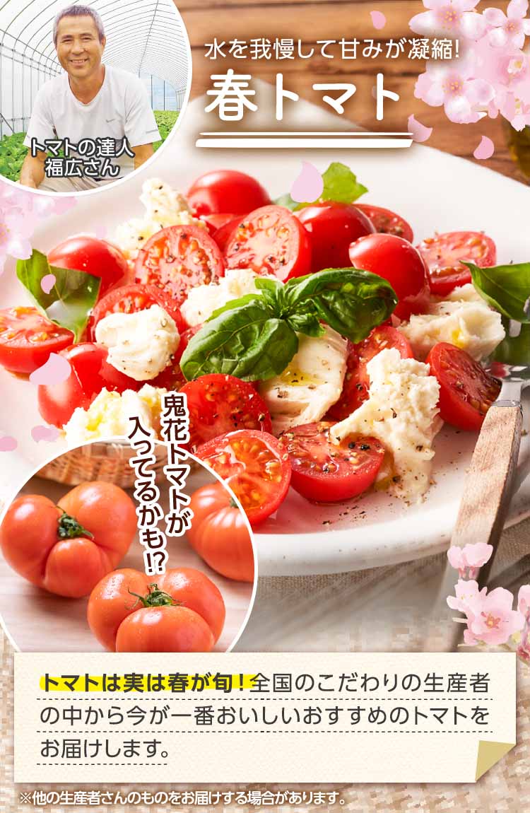 太陽を浴びて育った おすすめトマト