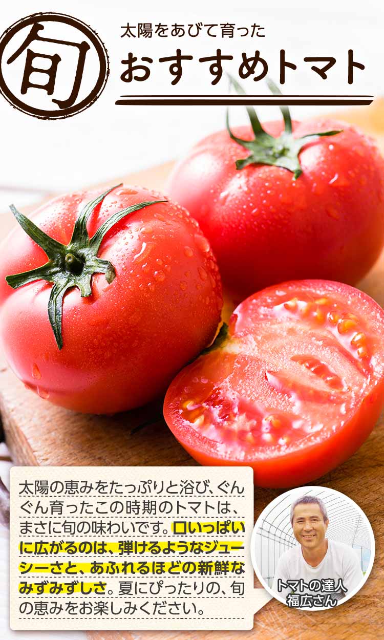 太陽を浴びて育った おすすめトマト