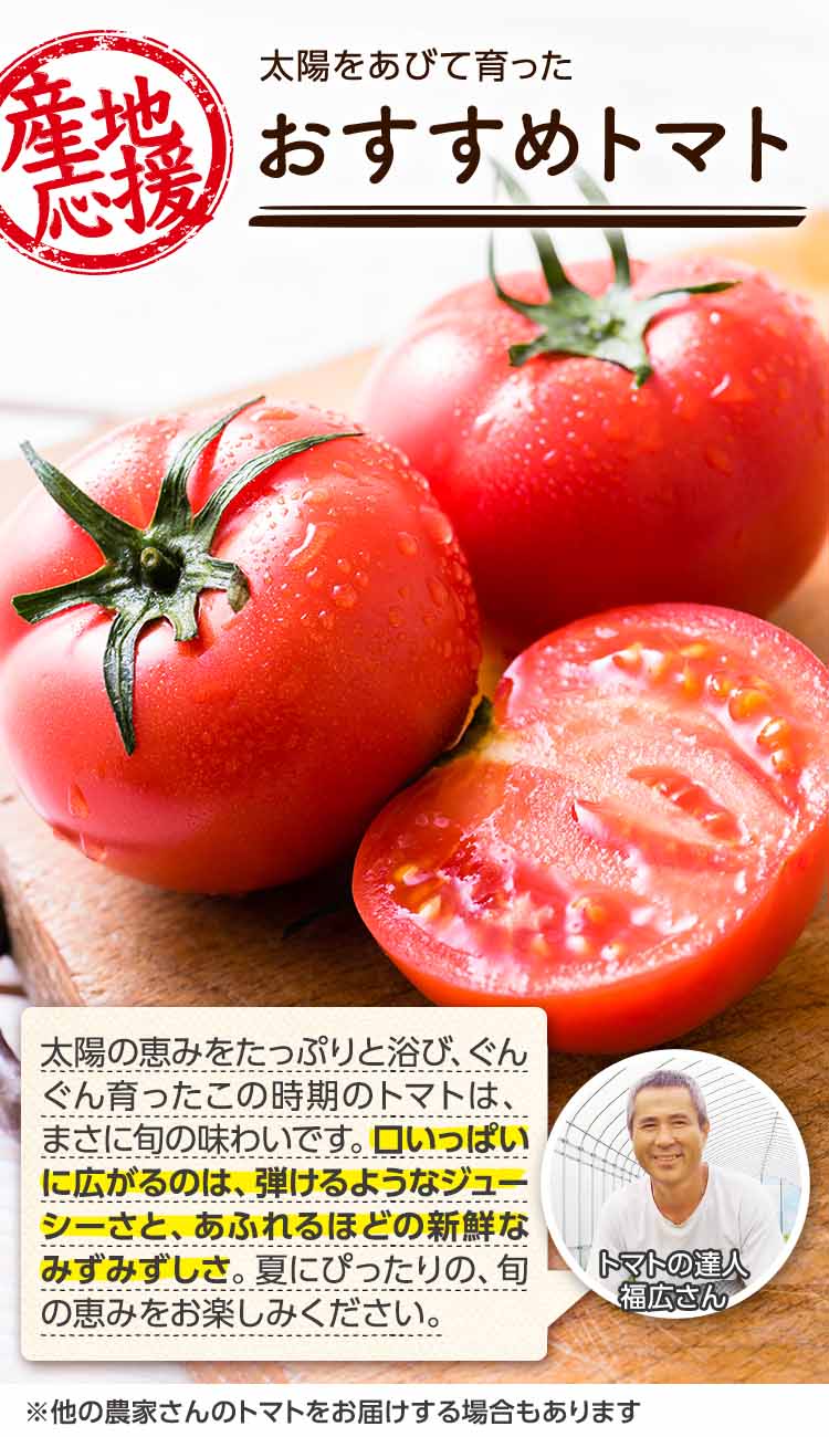 太陽を浴びて育った おすすめトマト