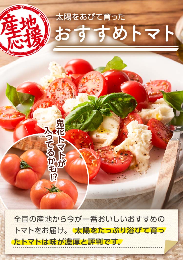 太陽を浴びて育った おすすめトマト