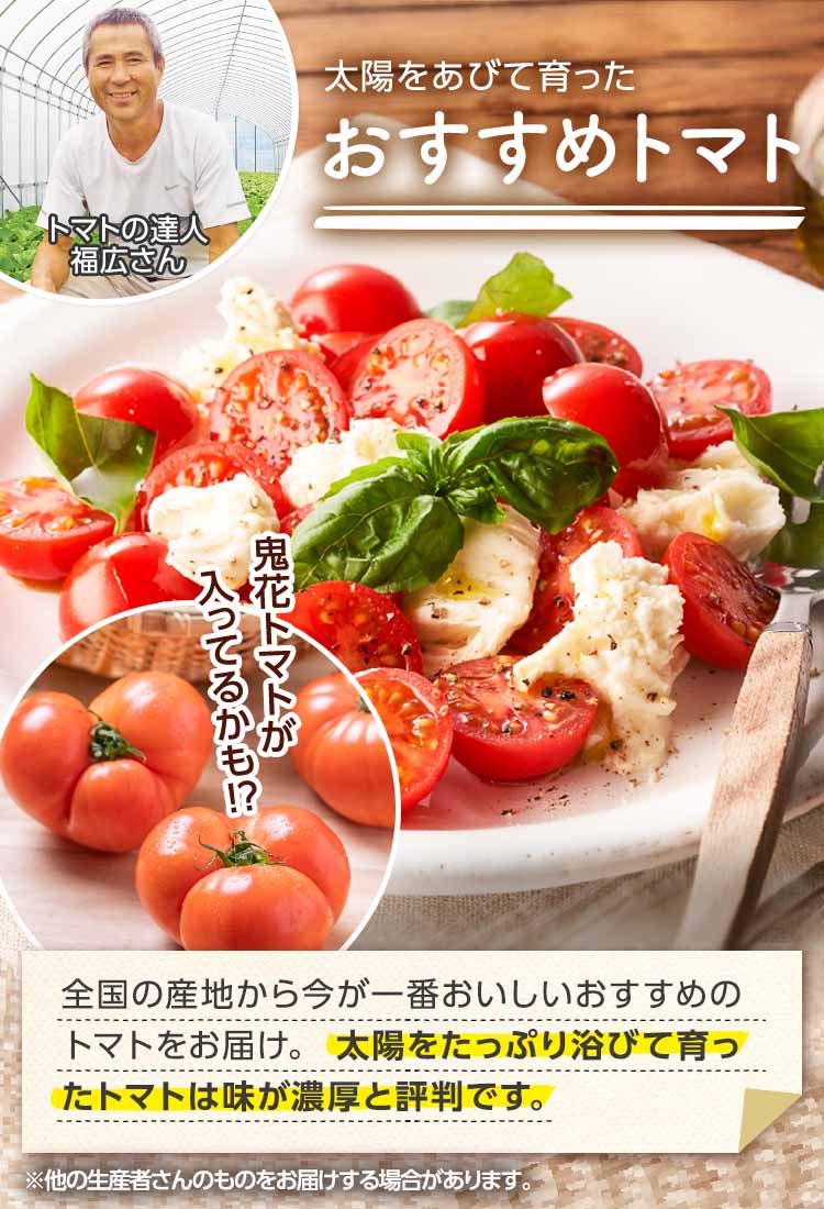 太陽を浴びて育った おすすめトマト