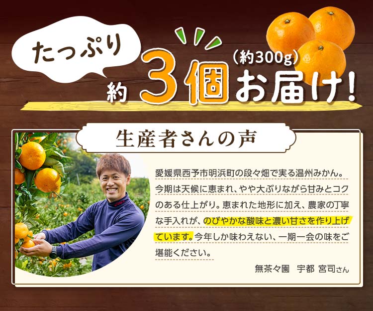 太陽と爽やかな風を浴びて育った温州みかん