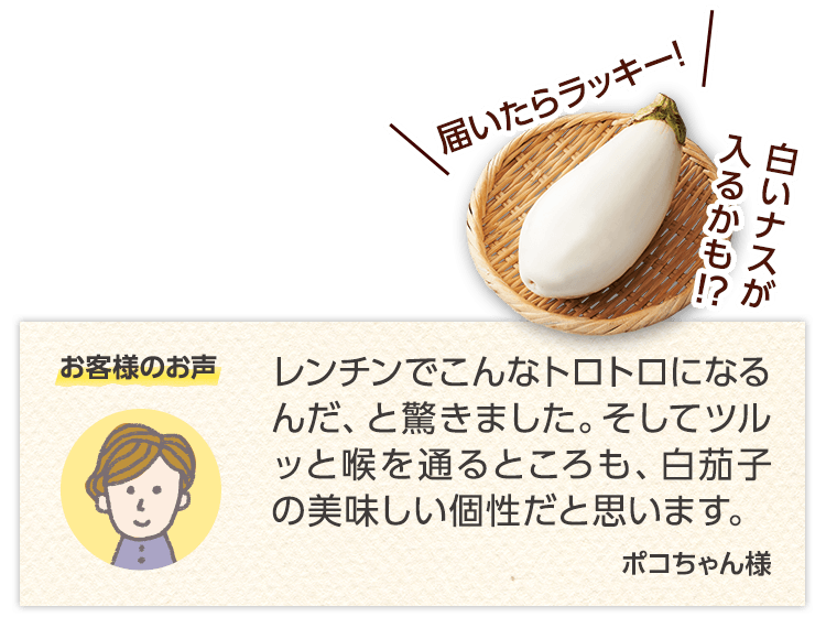 お客様のお声