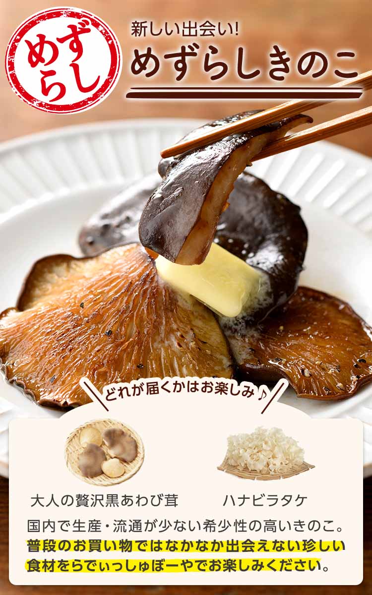 新しい出会い! めずらしきのこ