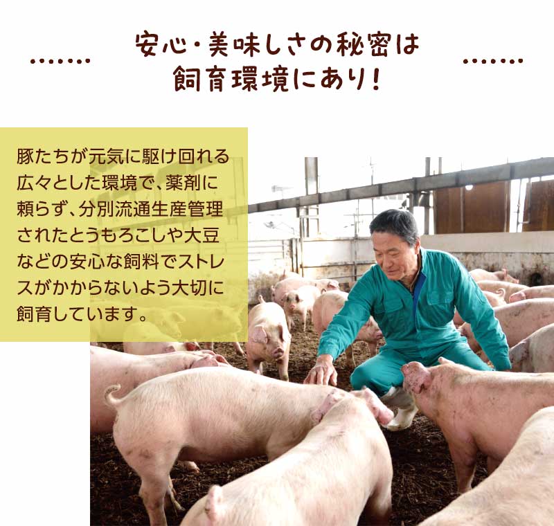 安心・美味しさの秘密は飼育環境にあり！豚たちが元気に駆け回れる広々とした放牧場で、薬剤に頼らず、さつまいもなどの安心な飼料でストレスがかからないよう大切に飼育しています。