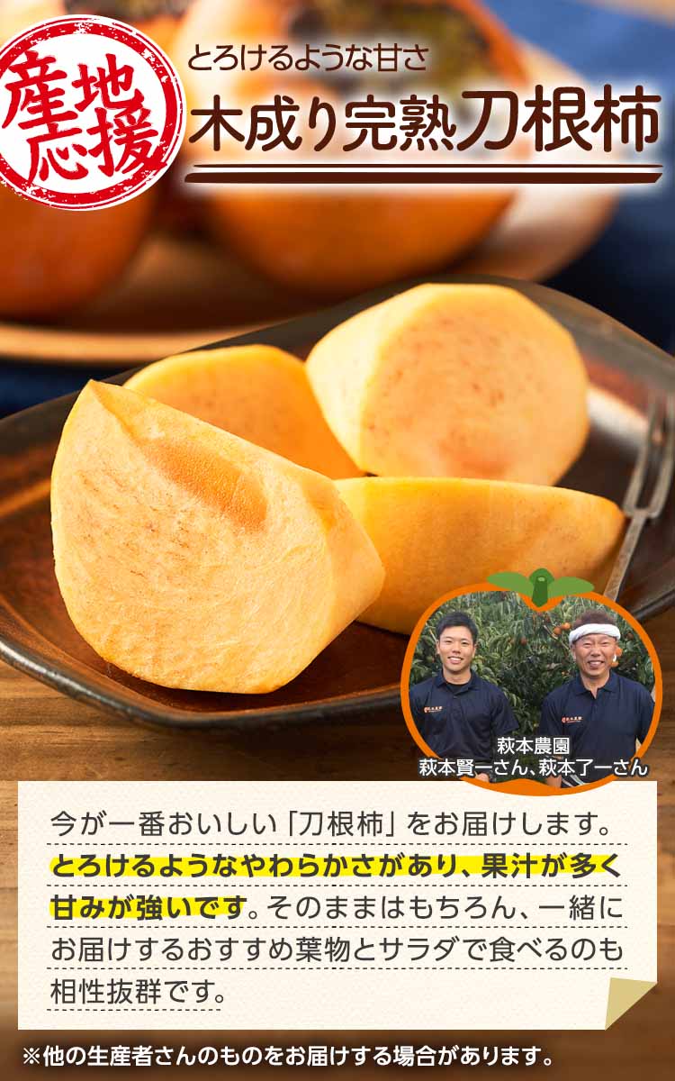 とろけるような甘さ 木成り完熟刀根柿