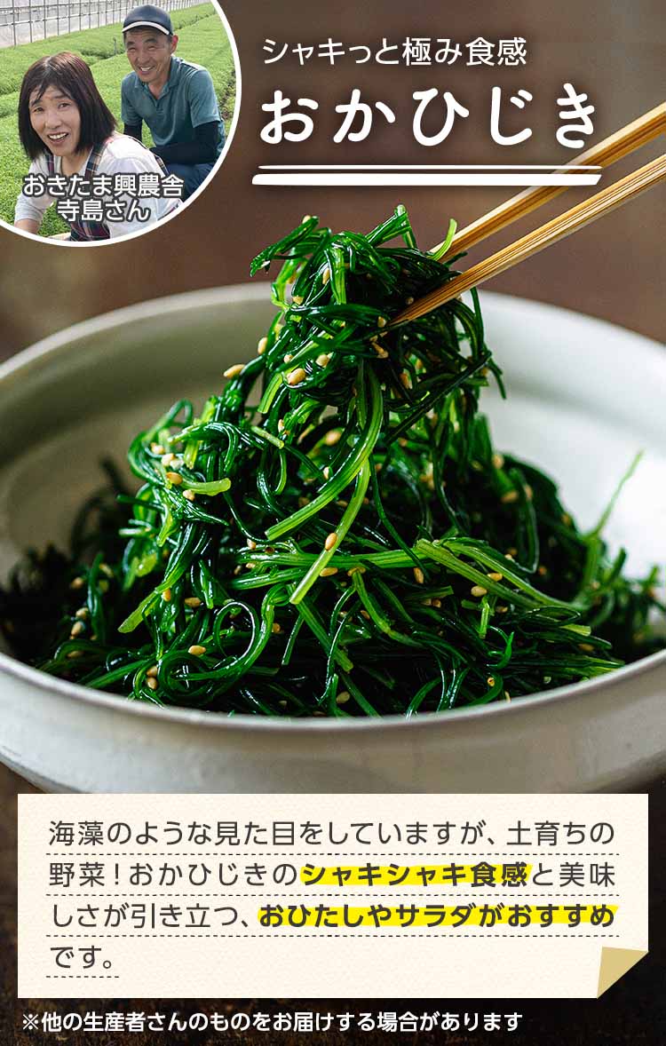 シャキっと極み食感　おかひじき