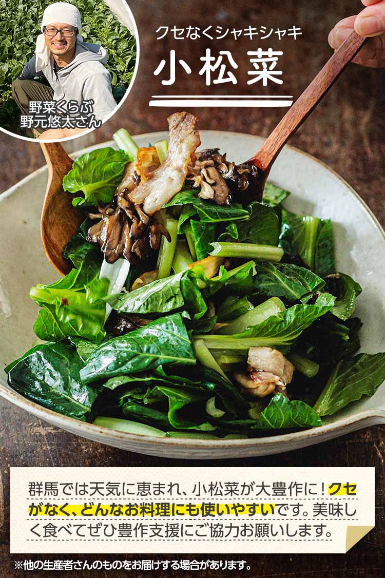 クセなくシャキシャキ 小松菜