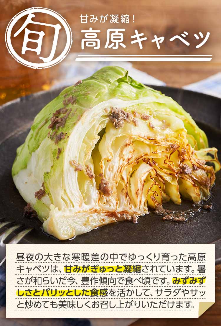 甘みが凝縮！高原キャベツ