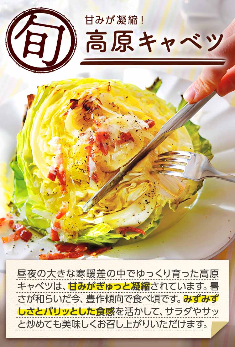 甘みが凝縮！高原キャベツ