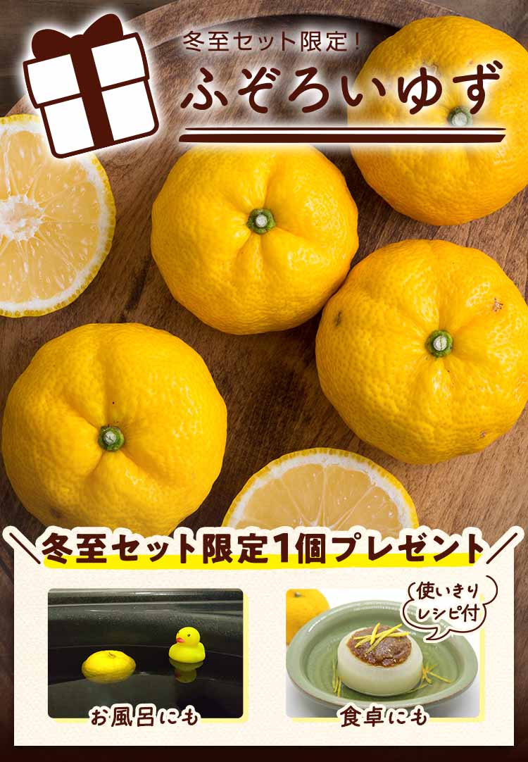 冬至限定 ふぞろいゆず