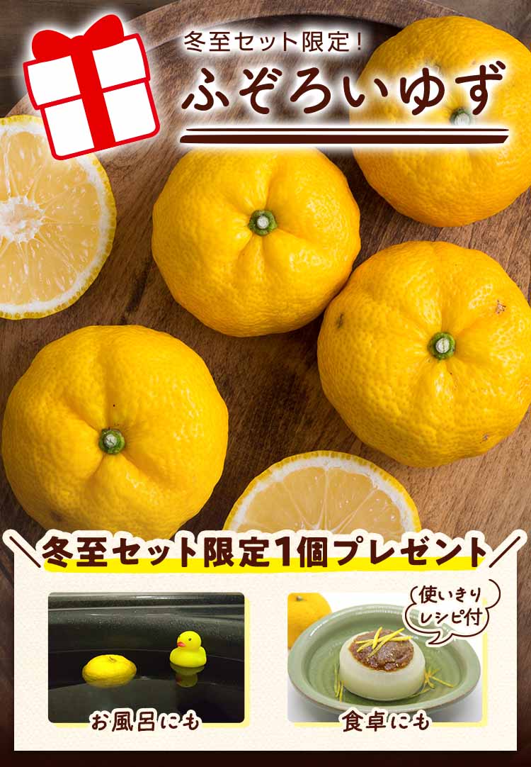 冬至限定 ふぞろいゆず