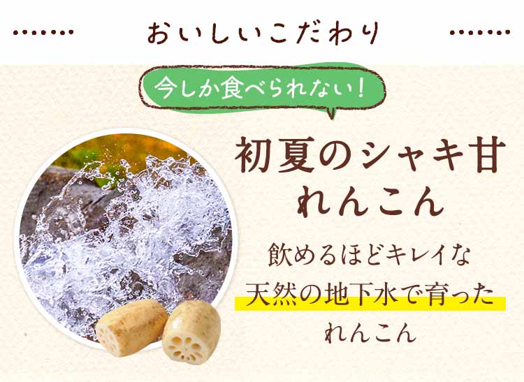 シャキシャキ甘い！ ジューシーれんこん