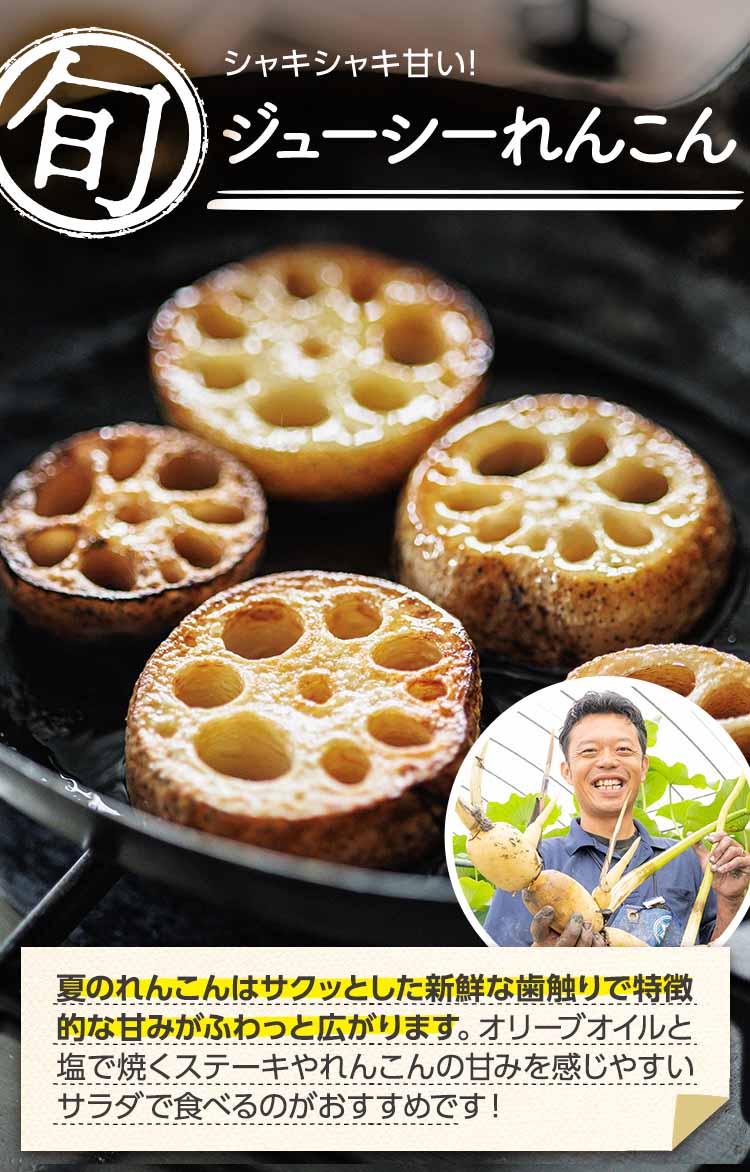 シャキシャキ甘い！ ジューシーれんこん