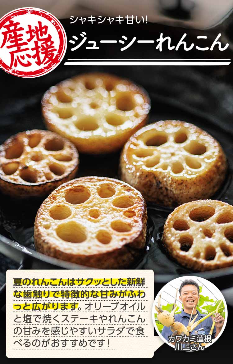 シャキシャキ甘い！ ジューシーれんこん