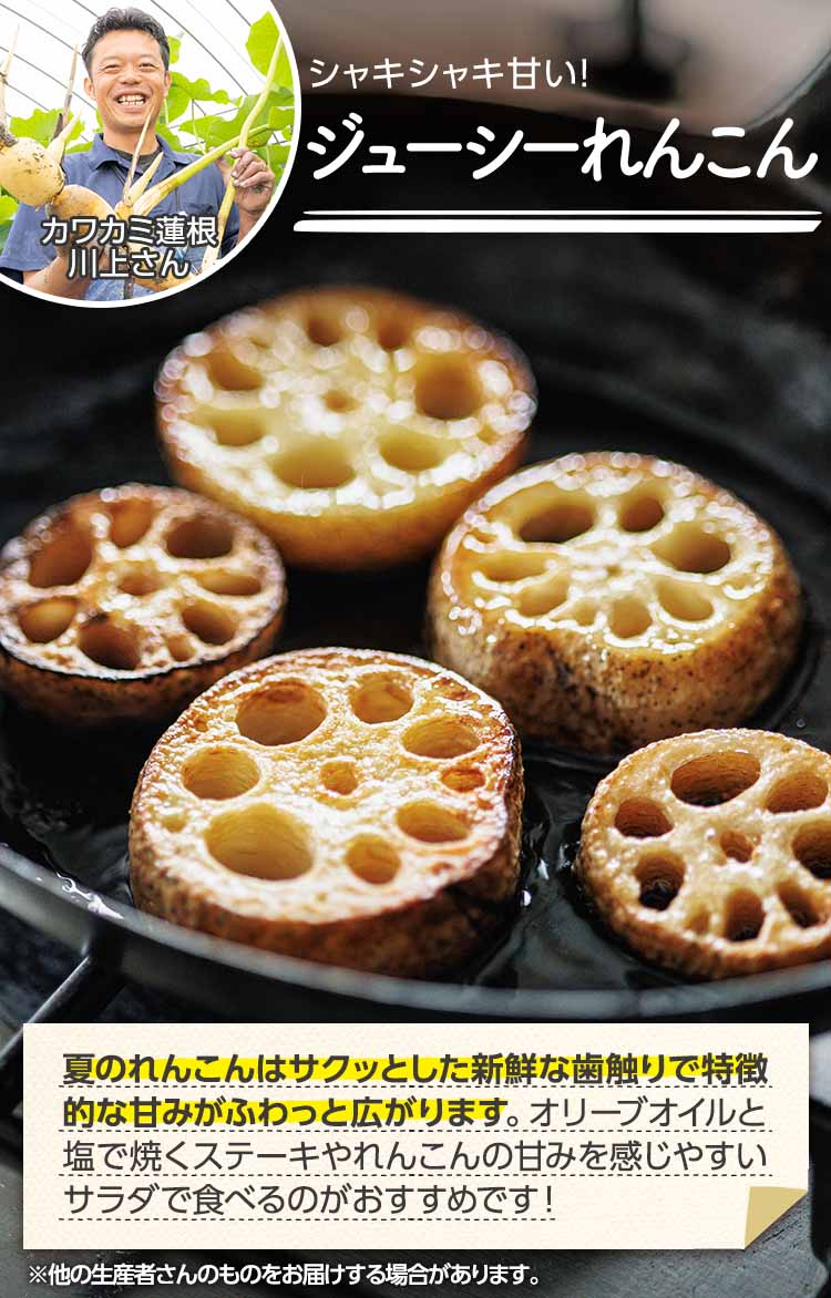 シャキシャキ甘い ジューシーれんこん