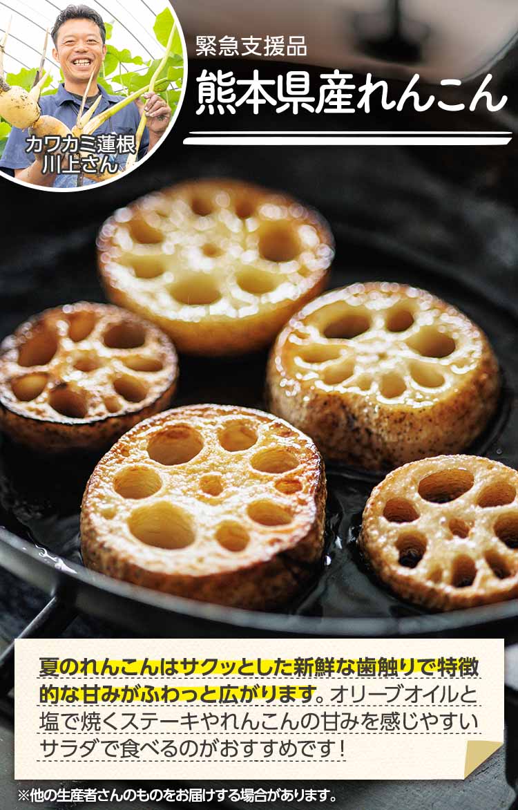 シャキシャキ甘い ジューシーれんこん