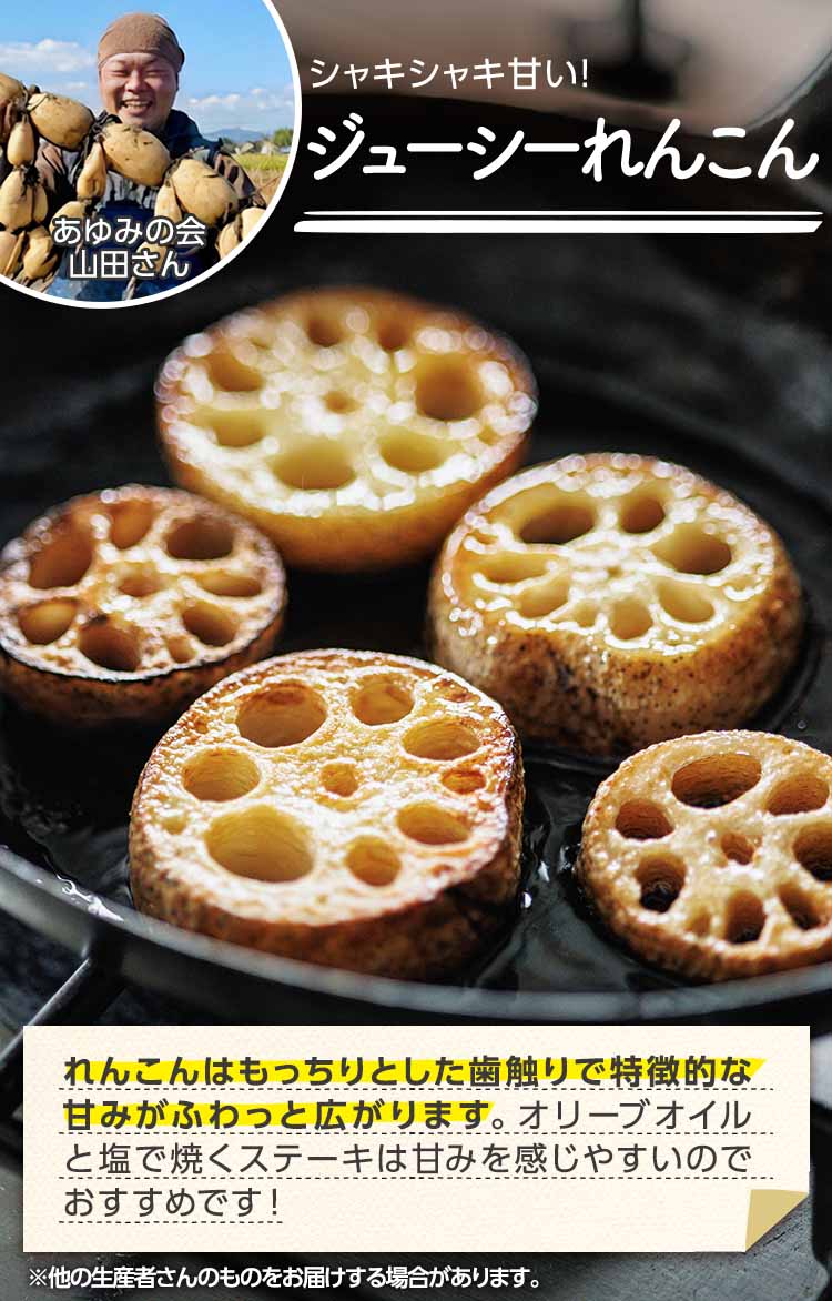 シャキシャキ甘い ジューシーれんこん