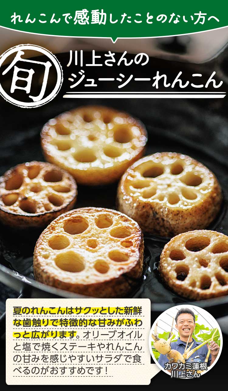 シャキシャキ甘い! ジューシーれんこん
