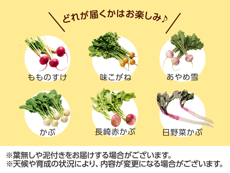 どれが届くかはお楽しみ