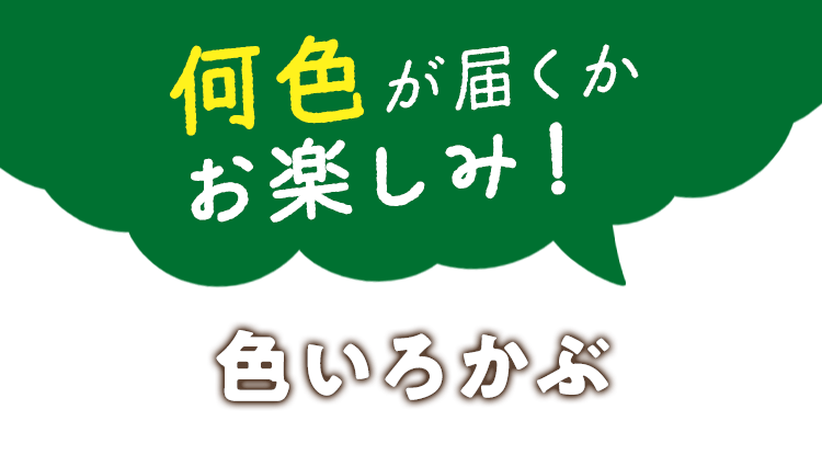 何色が届くかお楽しみ! 色いろかぶ
