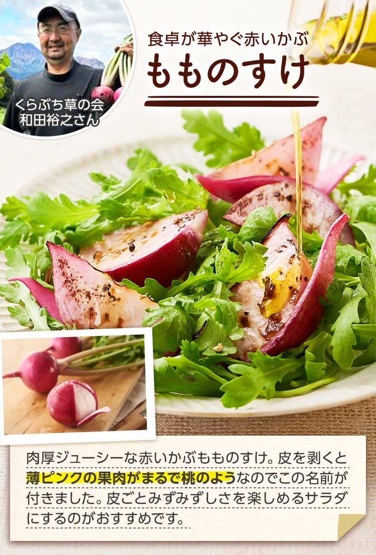 食卓が華やぐ赤いかぶ もものすけ