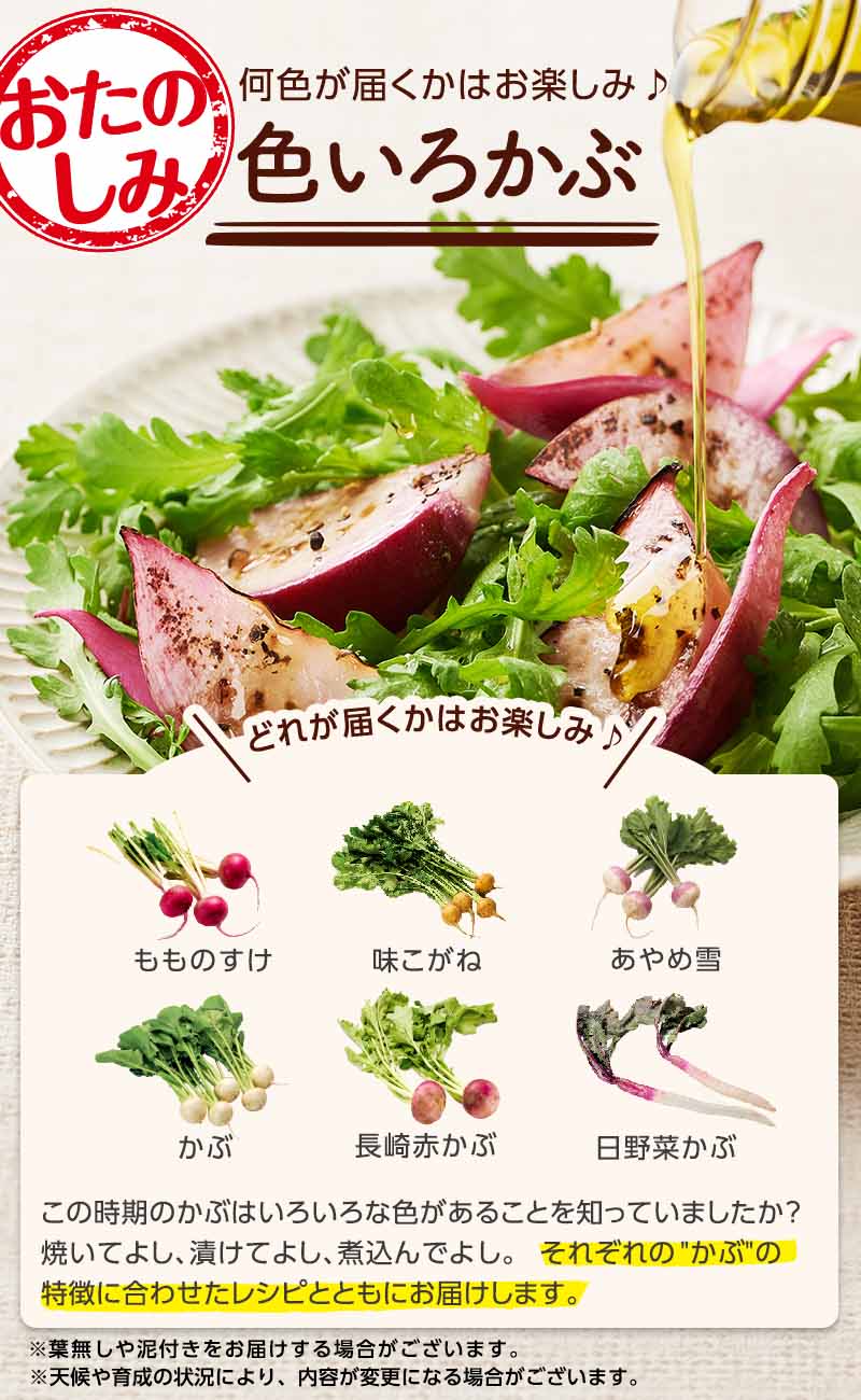 生でおいしい！ 色いろかぶ