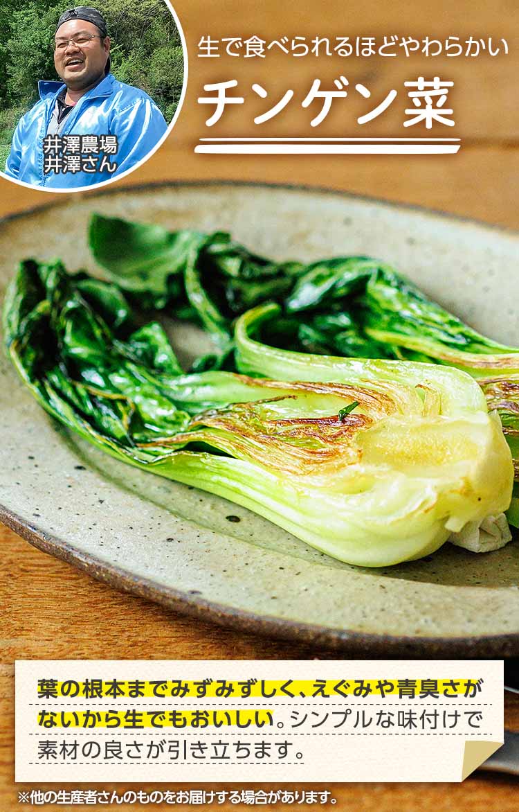 生で食べられるほどやわらかい チンゲン菜