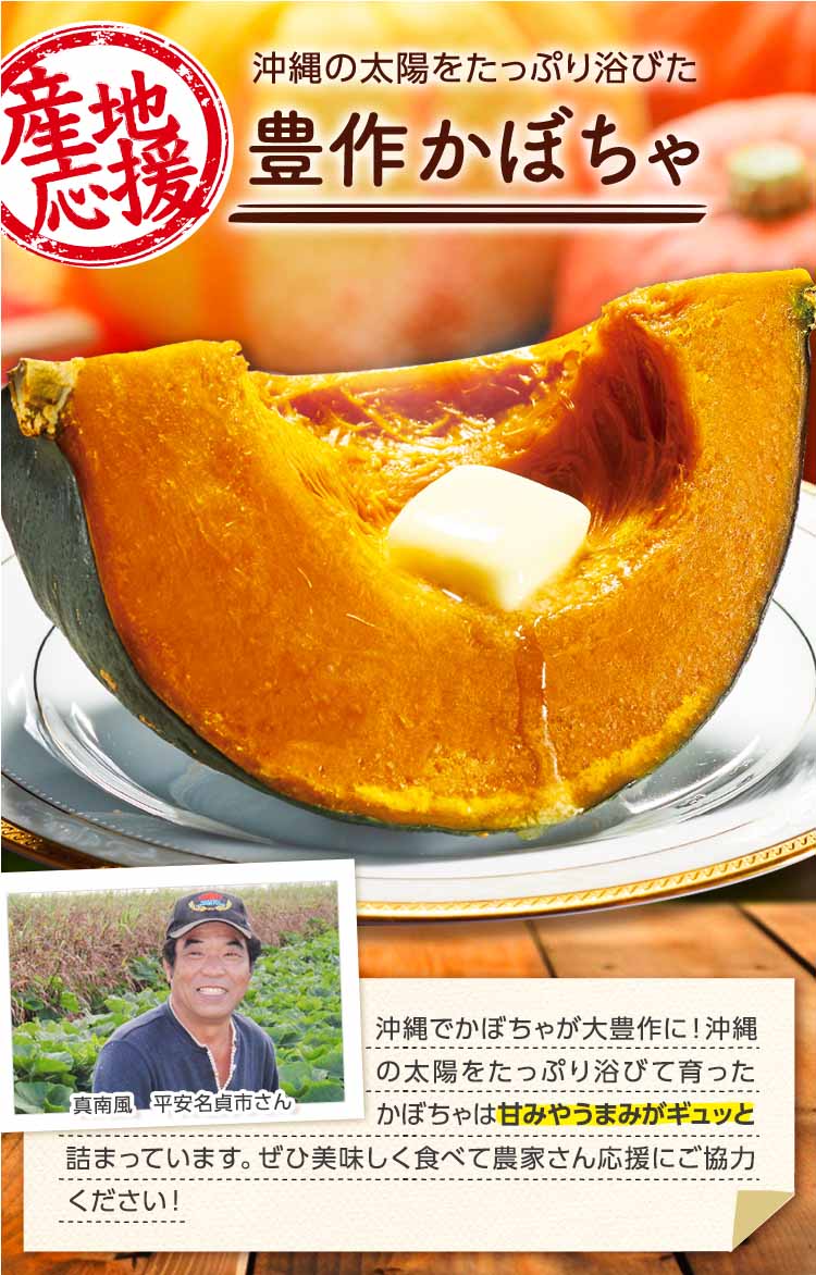 沖縄の太陽をたっぷり浴びた 豊作かぼちゃ