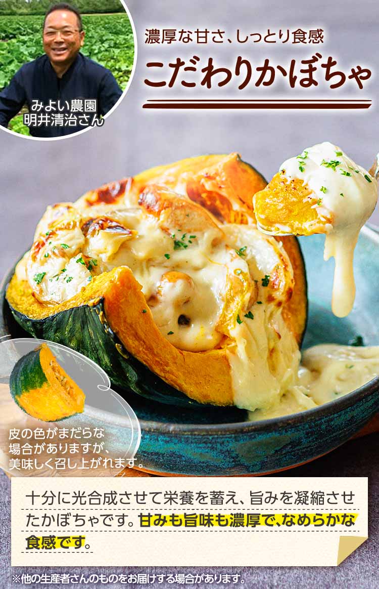 濃厚な甘さ、しっとり食感 こだわりかぼちゃ