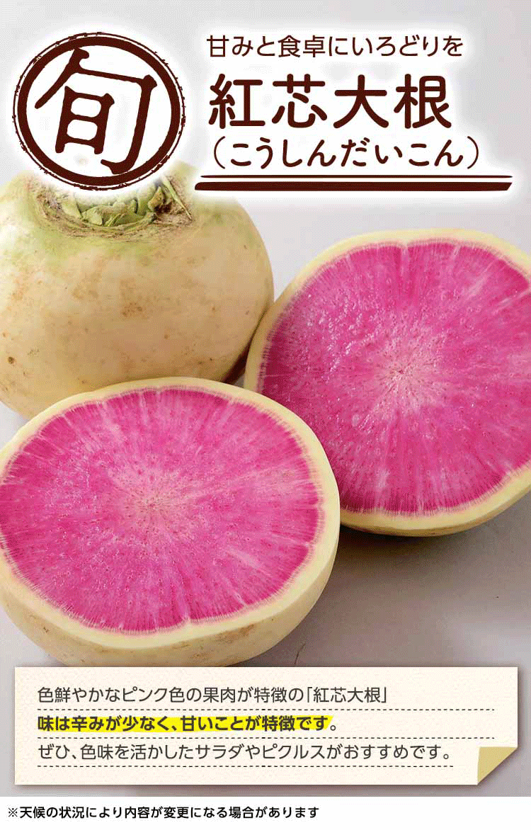甘みと食卓にいろどりを 紅芯大根