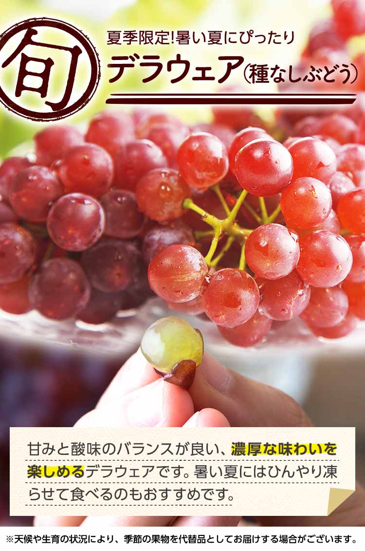 夏季限定!暑い夏にピッタリ デラウェア