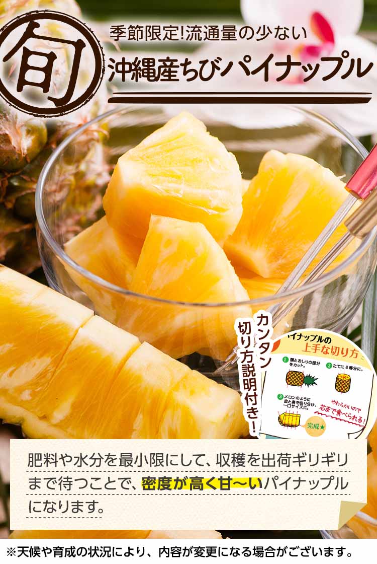 春は旬のはじまり!甘熟ちびパイナップル