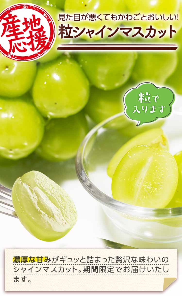 期間限定！シャインマスカット