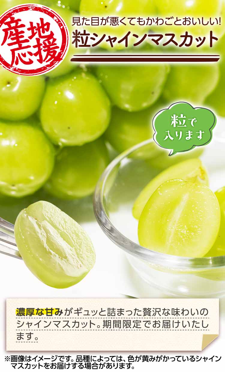 見た目が悪くても皮ごとおいしい 粒シャインマスカット
