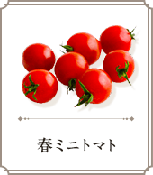 春ミニトマト