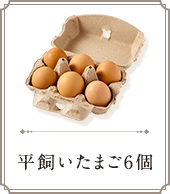 平飼いたまご６個