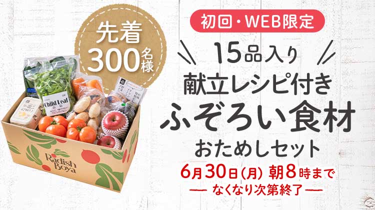 送料無料 料理がもっと楽しくなる「お野菜献立セット」