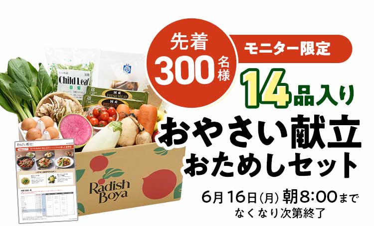 送料無料 料理がもっと楽しくなる「お野菜献立セット」